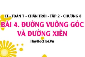 Đường vuông góc và đường xiên, quan hệ giữa cạnh và góc trong tam giác? Toán 7 chân trời tập 2 chương 8 bài 4